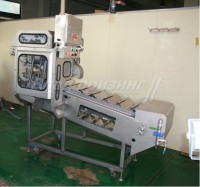 Автоматическая установка отсекания голов CHVFH-1L (Ю. Корея - Россия)