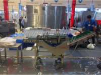 Установка отсечения хвостовых плавников с филе кальмара CHSWC-1 (Ю. Корея)