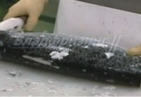 Машинка для отчистки рыбы  от чешуи CHHS-600  (Ю.Корея)
