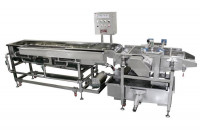Установка для мойки морепродуктов CAWVO-3000 (Ю.Корея)