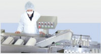 Установка для мойки морепродуктов CARI-52S, CARIW-45B (Ю.Корея)
