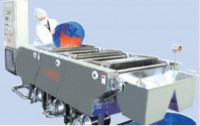 Установка для мойки, обессоливания, оттаивания морепродуктов и овощей CABW-3000 (Ю.Корея)