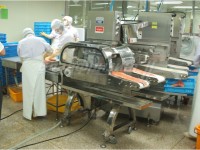 Автоматический удалитель межмышечных костей CHPB-2 (Ю.Корея)