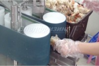 Автоматический ленточный слайсер CHBS-18CT (Ю.Корея CHAMCO)