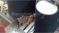 Автоматический ленточный слайсер CHBS-18CT (Ю.Корея CHAMCO)