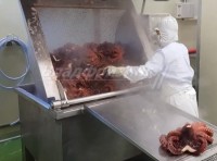 Установка для варки краба, осьминога и других морепродуктов (Ю. Корея   CHAMCO)