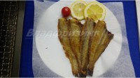 Шкаф для жарки продукции CHSH-P3 (Ю.Корея)