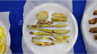 Шкаф для жарки продукции CHSH-P2 (Ю.Корея)
