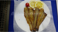 Шкаф для жарки продукции CHSH-P2 (Ю.Корея)