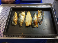 Шкаф для жарки продукции CHSH-P1 (Ю.Корея)