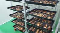 Шкаф для жарки продукции CHSH-P1 (Ю.Корея)