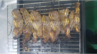 Шкаф для жарки продукции CHSH-P1 (Ю.Корея)