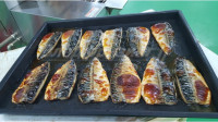 Шкаф для жарки продукции CHSHC-BBQ (Ю.Корея)